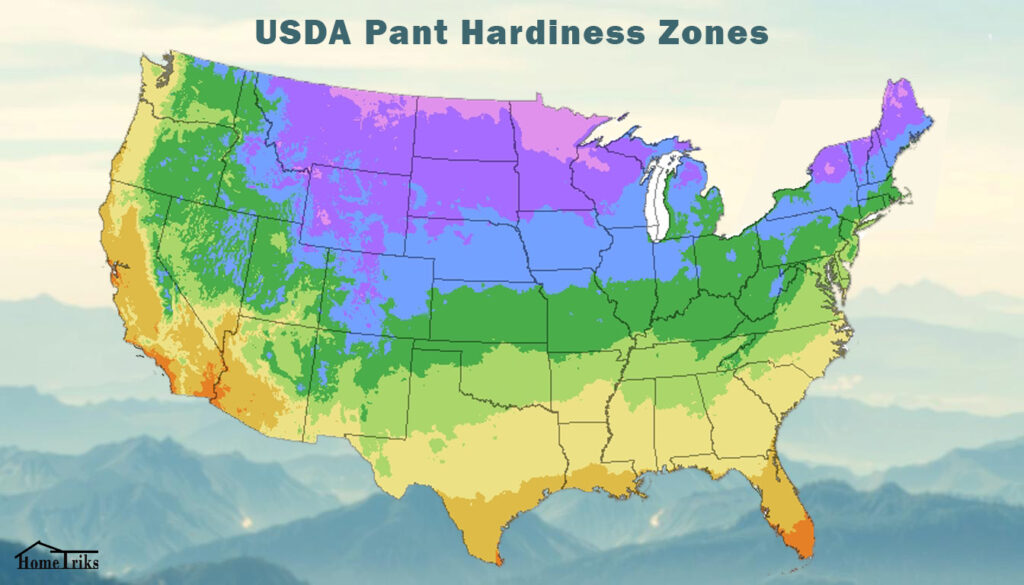 USDA Plant Hardiness Zone Map