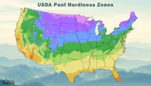 USDA Plant Hardiness Zones: Crack the Code to Gardening Success.
